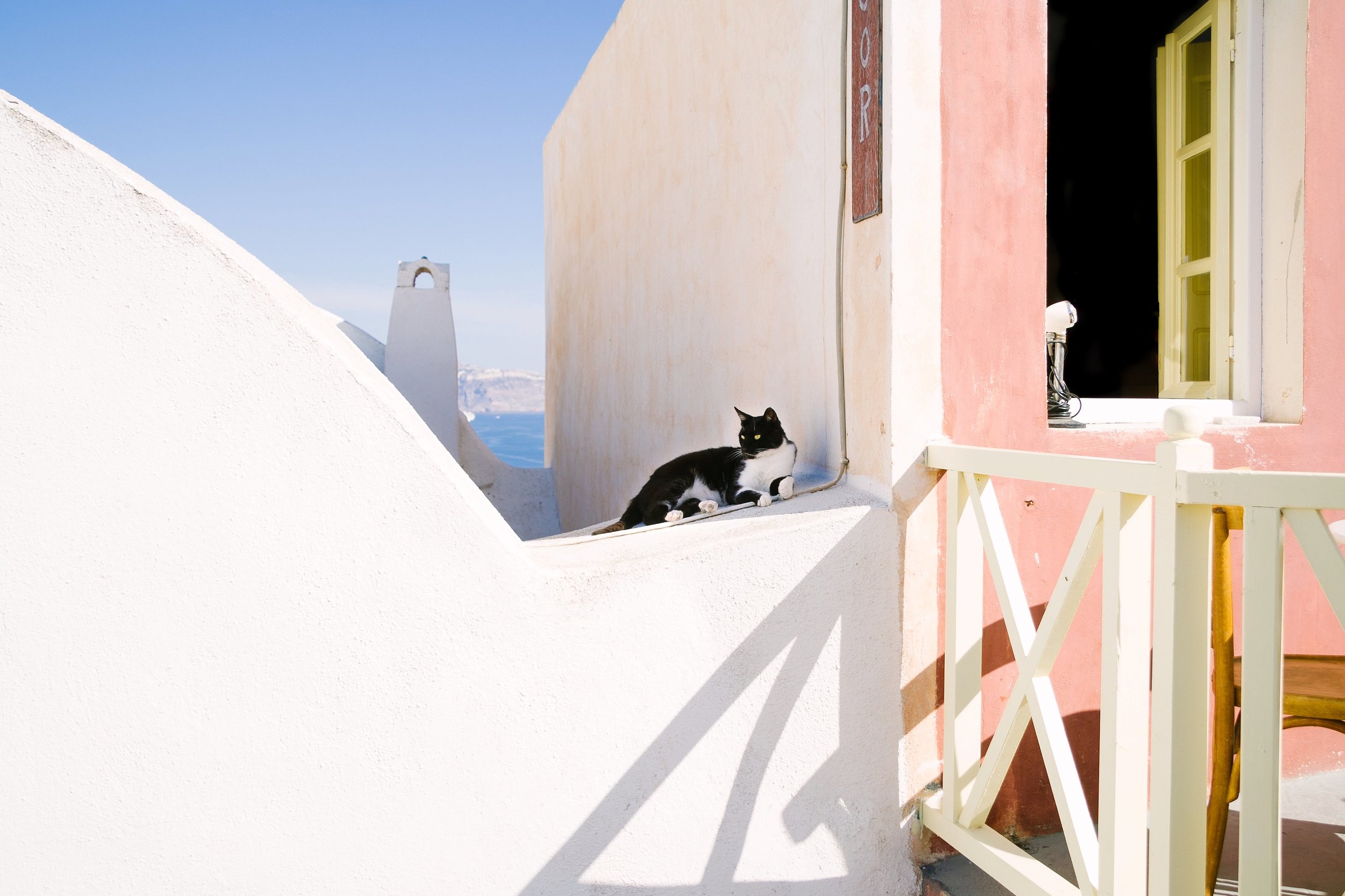  Tuxedo cat perched in the best view in the town of Oia. 