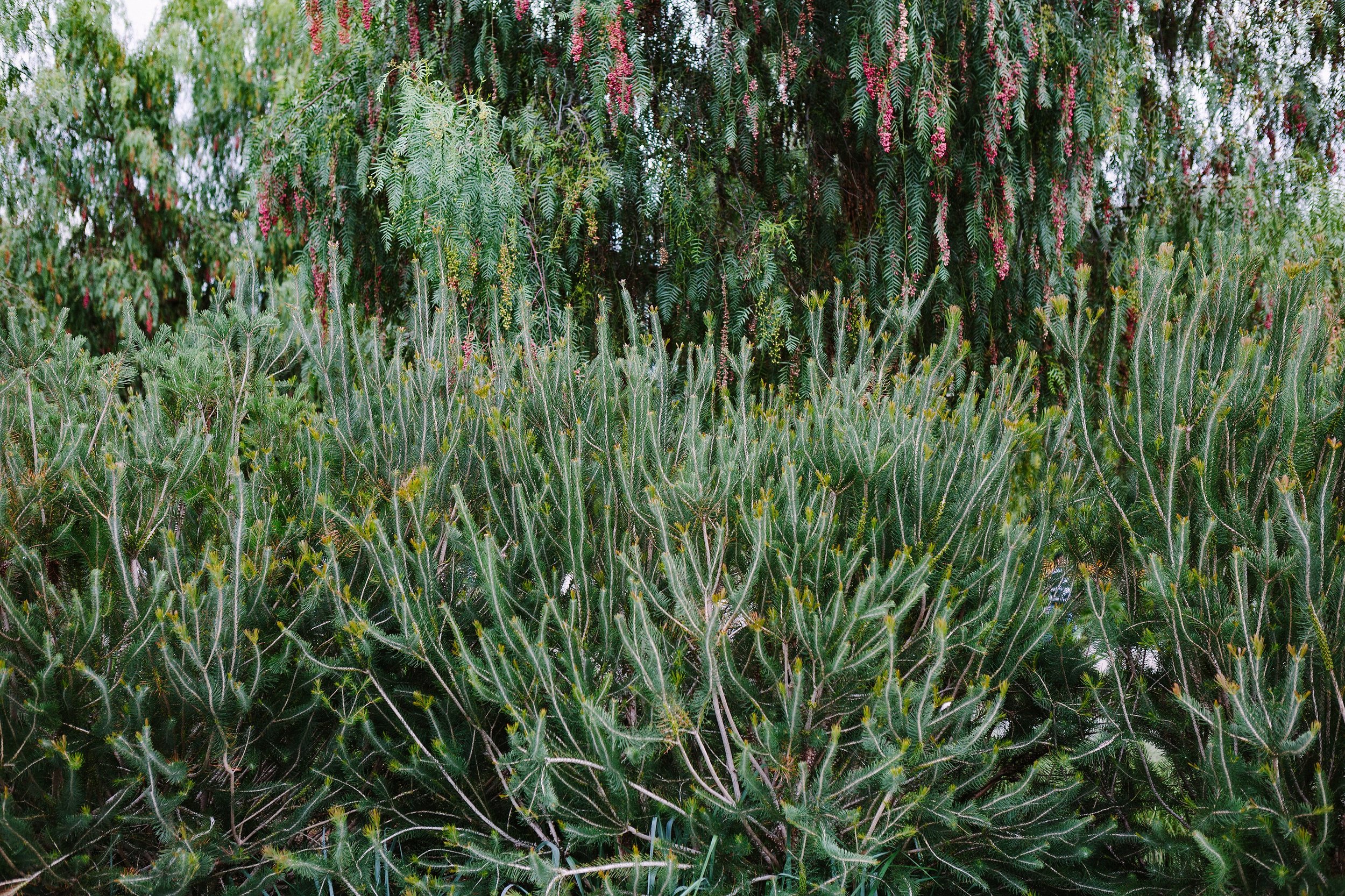  The Huntington Library 