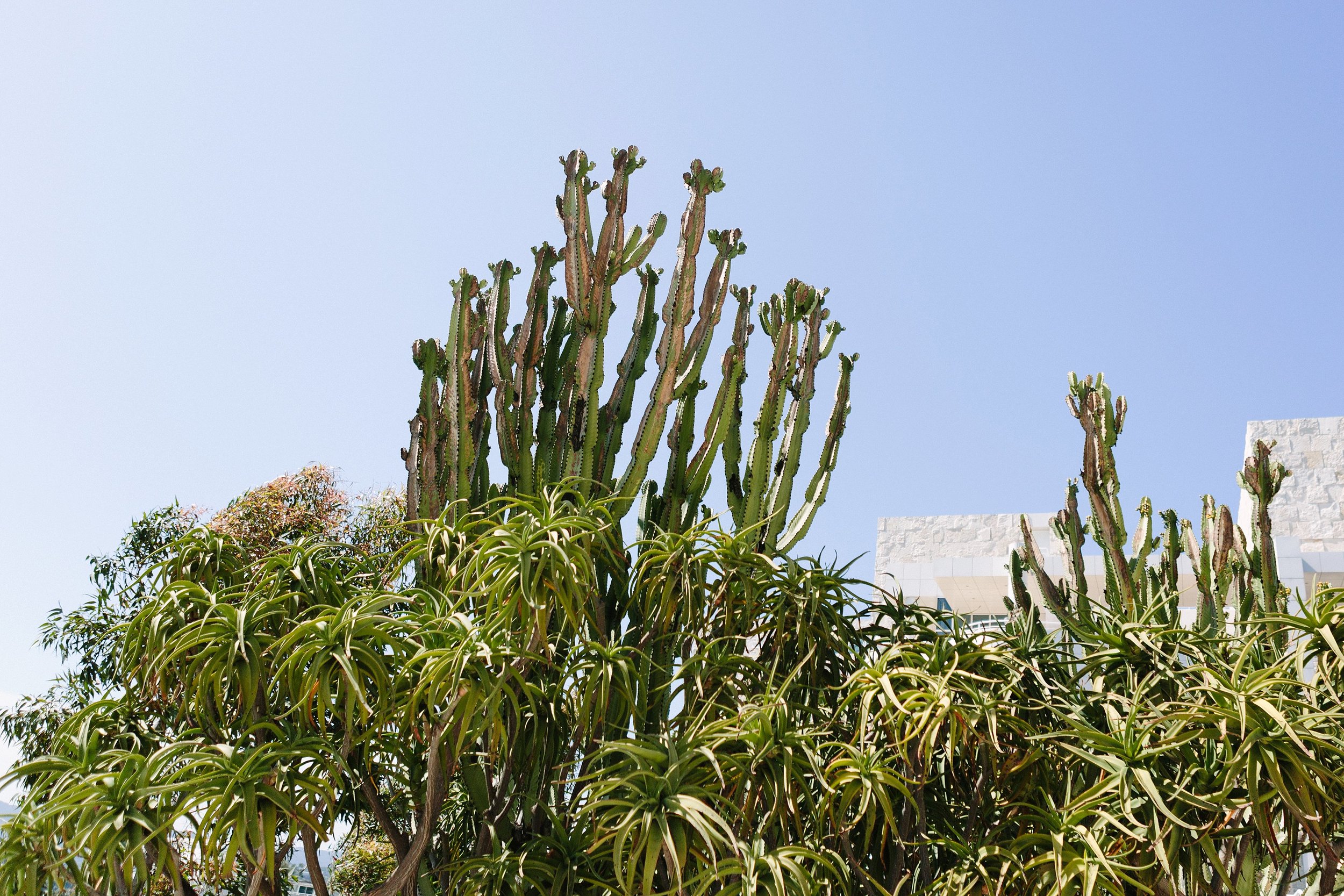  The Getty 