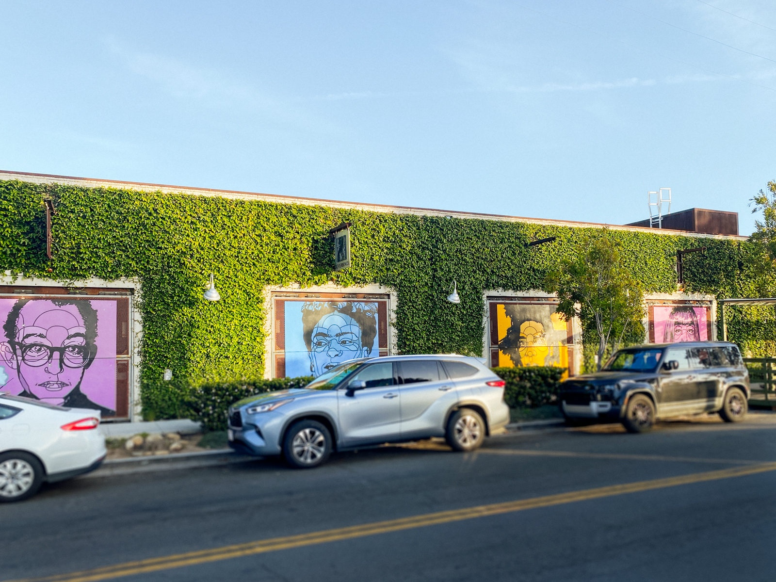Murals in the Funk Zone in Santa Barbara California