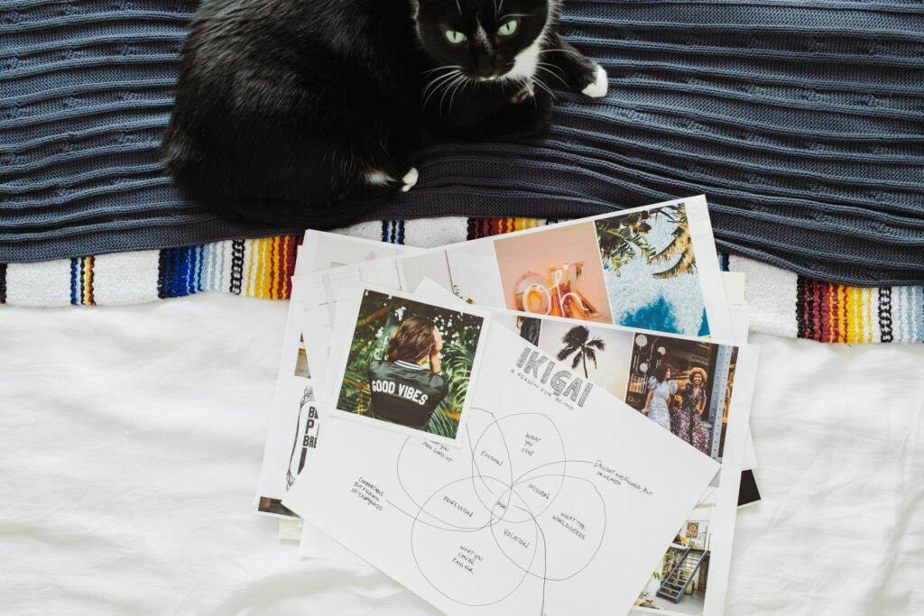 This image shows a black and white cat lying on a blue and white striped blanket. The cat is positioned towards the top left of the image. Below the cat, there are several pieces of paper with various images and text. One of the papers has the word "IKIGAI" prominently displayed in the center, surrounded by other words and phrases. The papers appear to be part of a creative or inspirational project, with images of people and scenic locations.