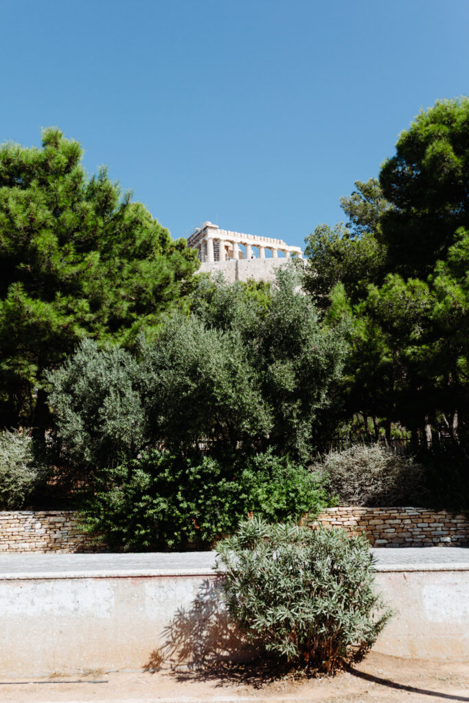 This image shows a serene outdoor scene with a historical structure in the background. The structure appears to be an ancient temple, characterized by its classical architecture with columns and a triangular pediment. The temple is surrounded by lush greenery, including tall trees and various types of shrubs. In the foreground, there is a low stone wall with a concrete platform, and a small, bushy plant is growing near the edge. The sky above is clear and blue, indicating a sunny day.