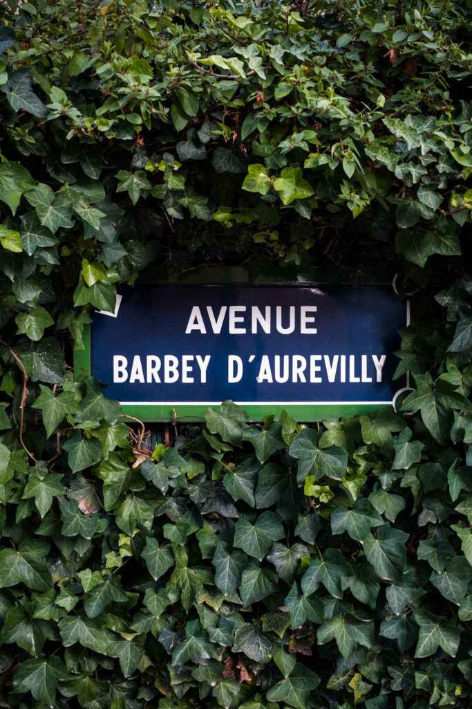 This image shows a street sign partially covered by lush green ivy. The sign is blue with white text and reads "AVENUE BARBEY D'AUREVILLY". The ivy is dense and appears to be growing over the sign, making parts of it slightly obscured. The sign is mounted on a wall or structure, and the greenery around it suggests it is in an area with abundant vegetation.