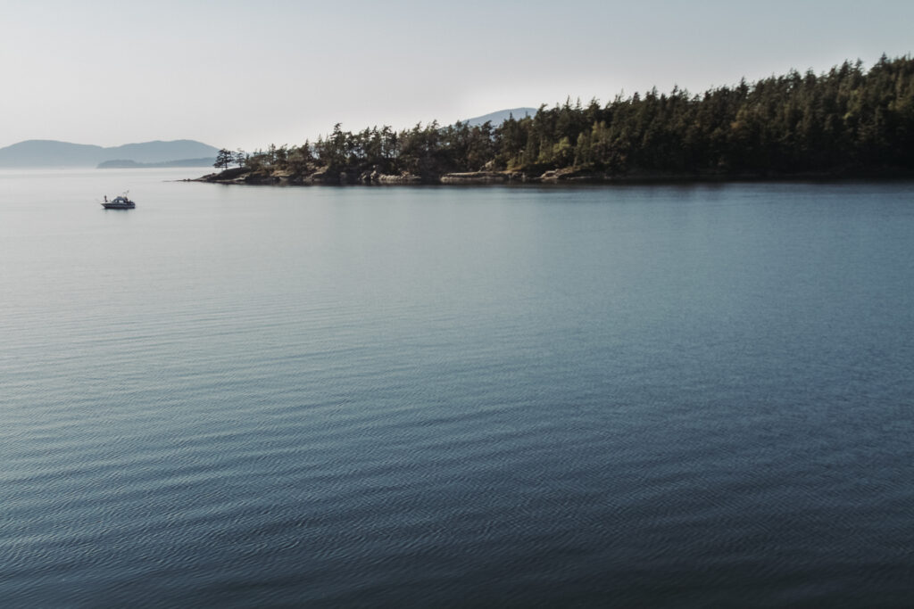 This image shows a serene and expansive body of water with gentle ripples across its surface. In the distance, a small boat is visible, suggesting recreational activity or fishing. The horizon is marked by a line of dense forest, with tall trees extending along the shoreline. Further back, there are rolling hills that add to the picturesque landscape. The sky above is clear, contributing to the tranquil atmosphere of the scene.